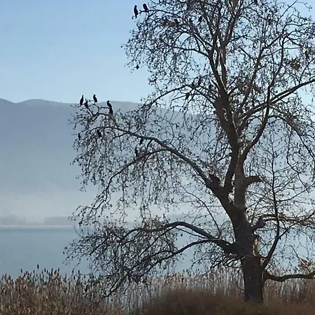 The Little Stone House By The * Kastoria